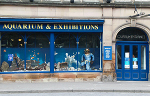 Post image for Matlock Bath Aquarium